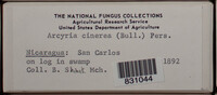 Image Associated With the Occurence